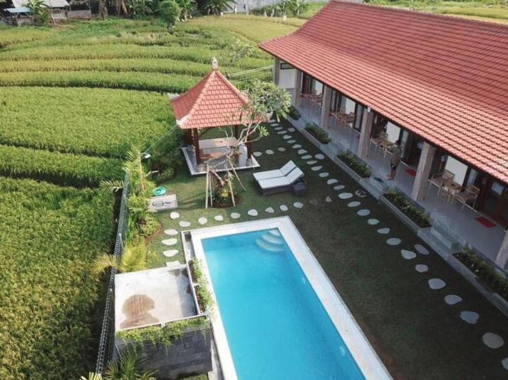 Rara Guesthouse Canggu  Luaran gambar